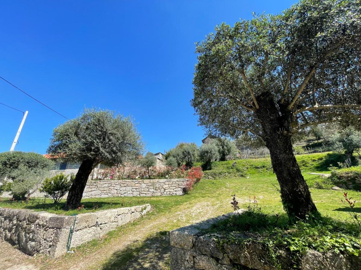 טראס דה בורו Casa Botica - Geres Country House מראה חיצוני תמונה
